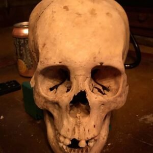 SKULL OF LAW
